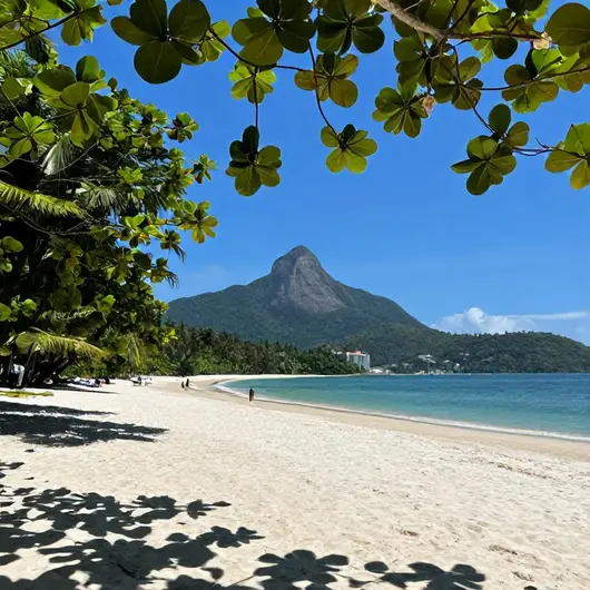 As Melhores Praias para Visitar em Ilha Grande