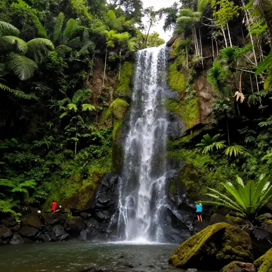 Cachoeira da Feiticeira: Um Refúgio Natural na Ilha Grande