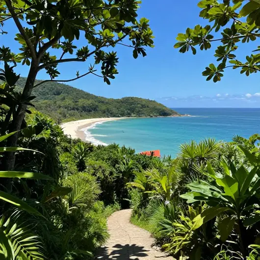 Como se Locomover entre as Praias da Ilha Grande Como se Locomover entre as Praias da Ilha Grande