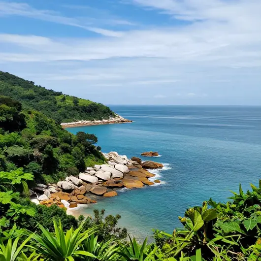 Descubra a Beleza da Enseada das Estrelas na Ilha Grande