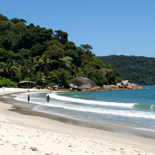 Descubra a Praia de Lopes Mendes em Ilha Grande: Um Paraíso Natural Descubra a Praia de Lopes Mendes em Ilha Grande: Um Paraíso Natural
