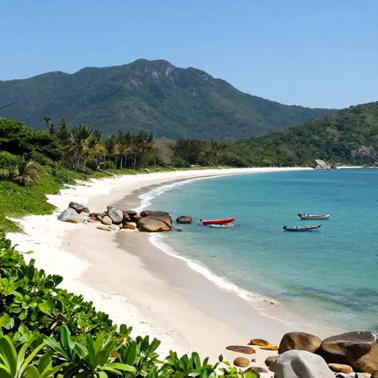 Descubra a Praia do Pouso em Ilha Grande: Um Refúgio Natural
