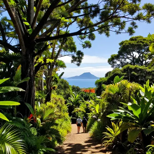 Descubra a Trilha da Freguesia a Bananal na Ilha Grande