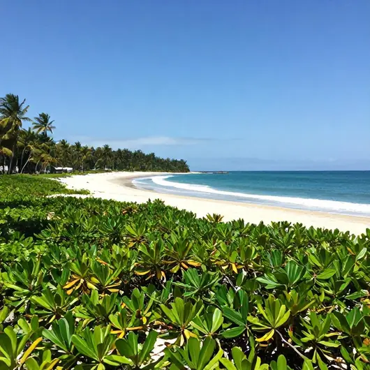 Descubra as Encantadoras Belezas da Praia de Mangues em Ilha Grande