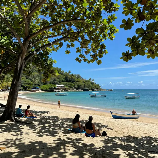 Guias de Turismo na Ilha Grande: Descubra as Melhores Práticas