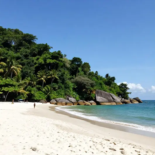 Praia de Castelhanos: Um Paraíso Escondido em Ilha Grande Praia de Castelhanos: Um Paraíso Escondido em Ilha Grande