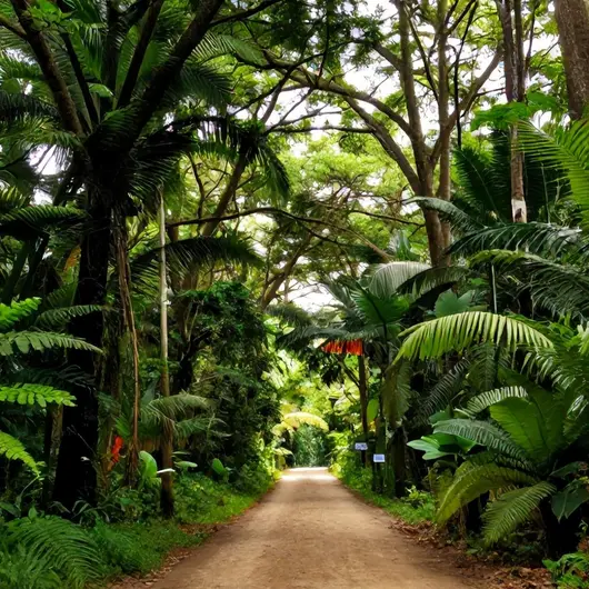Trilha de Abraão a Dois Rios: Explorando a Natureza da Ilha Grande